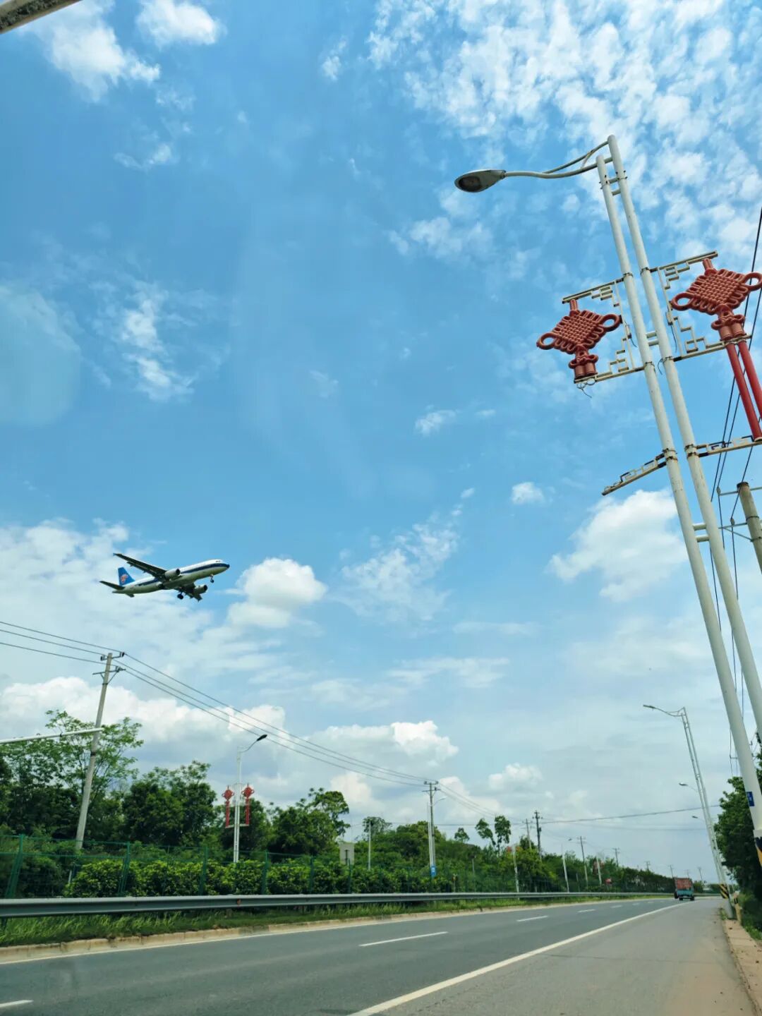 蘋方簡細(xì)體圖片